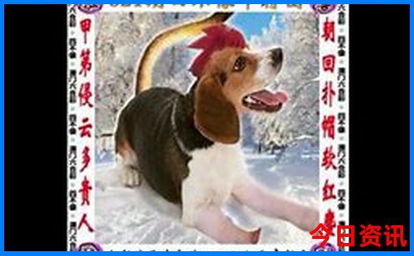 6天旅游去哪儿最好