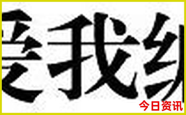 深中通道一日游旅游团报名